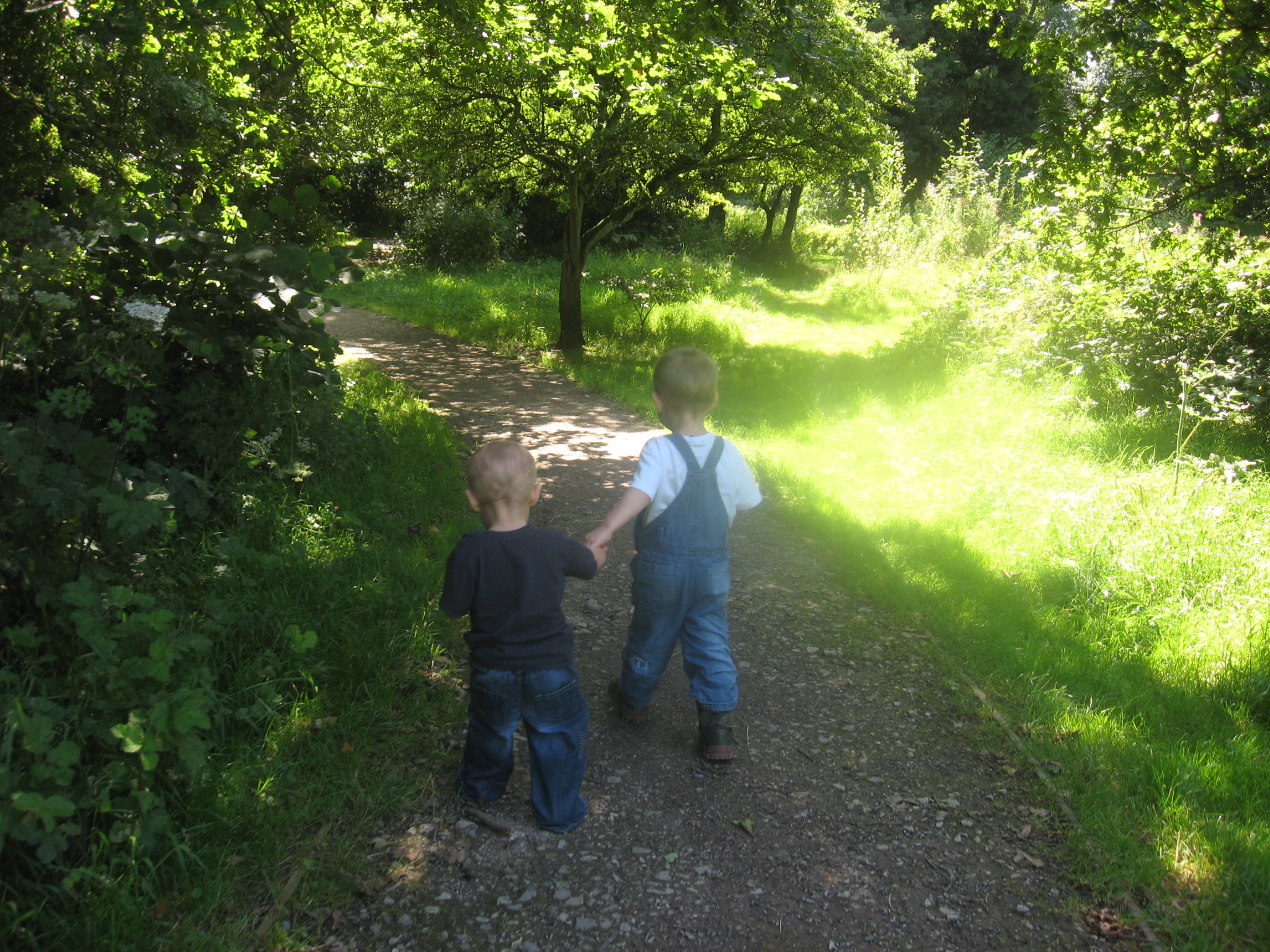 Early Nature Lessons In Denmark S Forest Pre Schools Child In