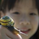 Checking out a yellow garden snail in Richmond last year is Elsa Lee 4. MARK VAN MANEN / PNG FILES